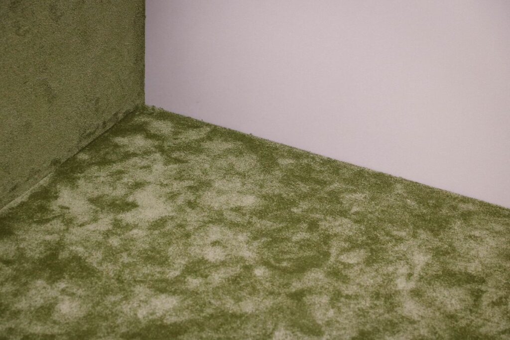 Close-up photo of carpet texture meeting the corner where it meets a plain wall baseboard, the most common bed bug hiding spot