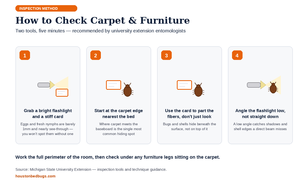 Four-step infographic showing how to inspect carpet and furniture for bed bugs using a flashlight and a stiff card
