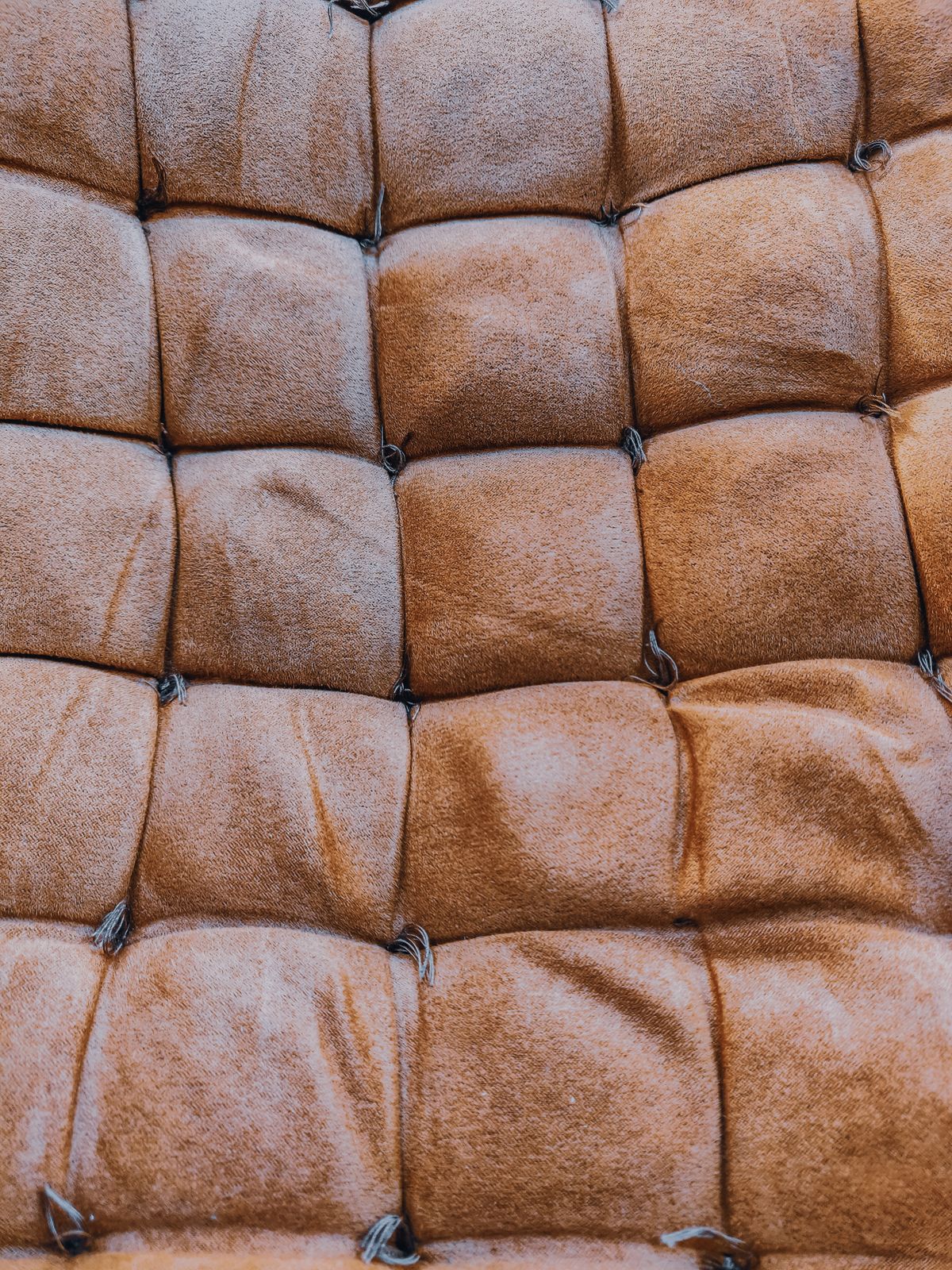 Close-up photo of a leather and fabric sofa corner showing seams and stitching where bed bugs commonly hide